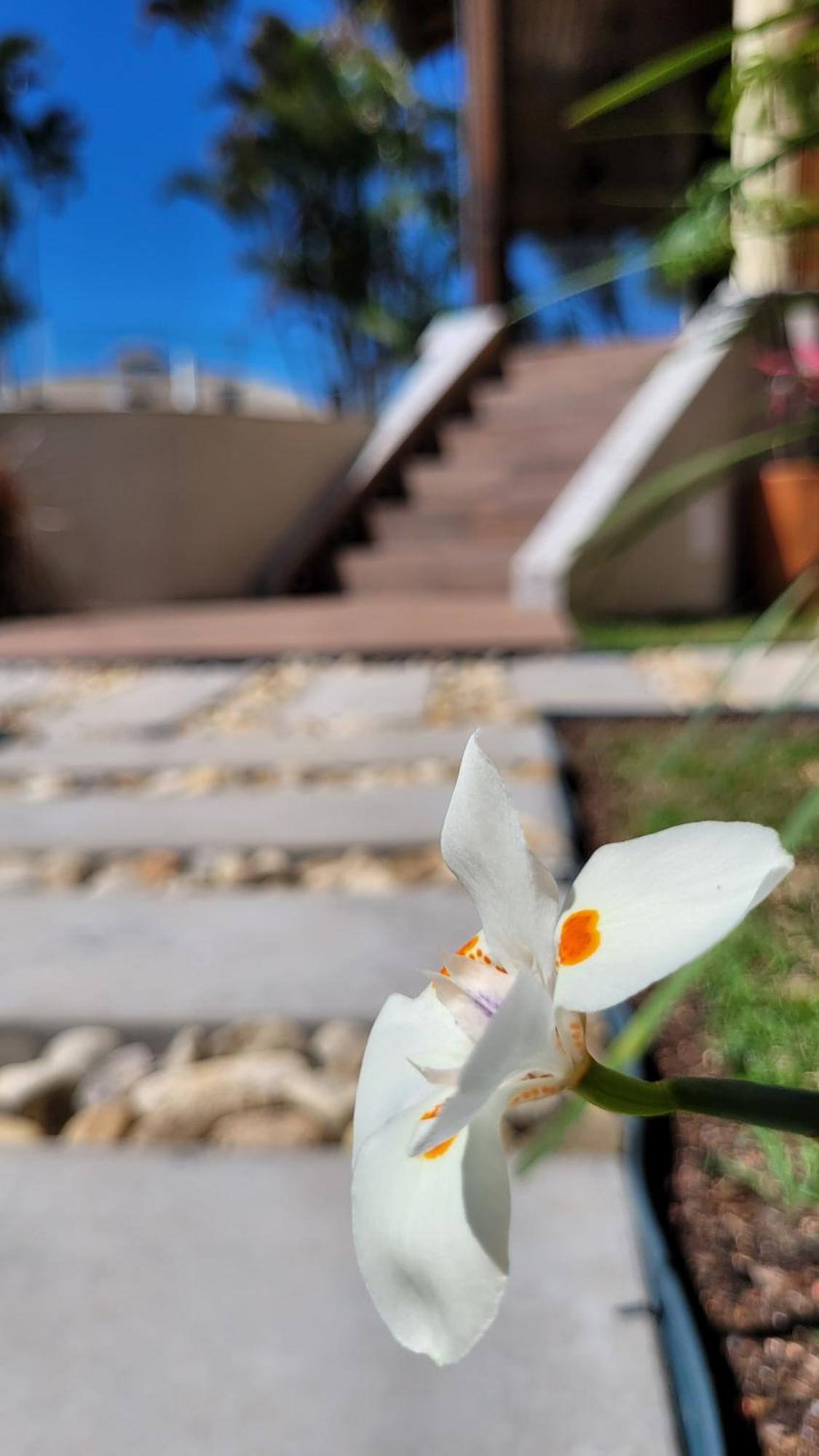Apart Hotel Beira Do Mar Florianópolis 外观 照片